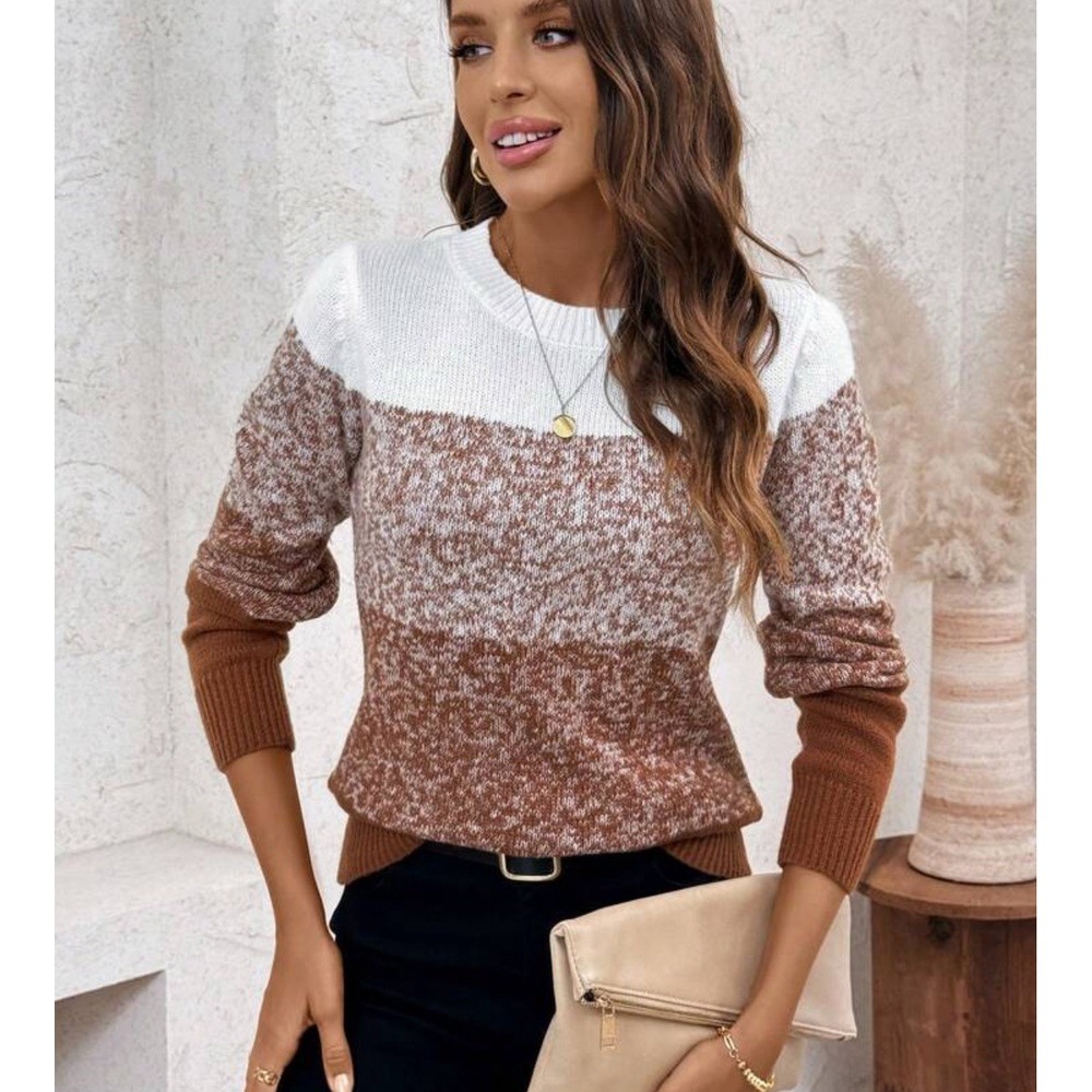 Colorblock Chunky Knit Sweater Rust White Crew Neck Pullover 1X Cozy Winter